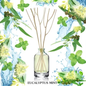 Eucalyptus Mint - Diffuser Set -Thailand