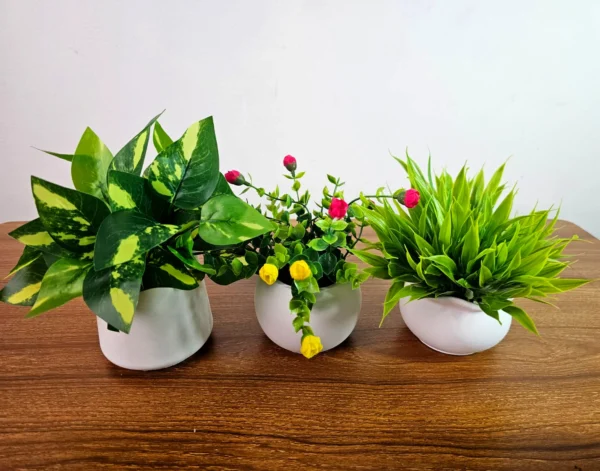 Artificial Plant & Concrete Pots 3pcs Set (Money Plant, Rose & Grass)