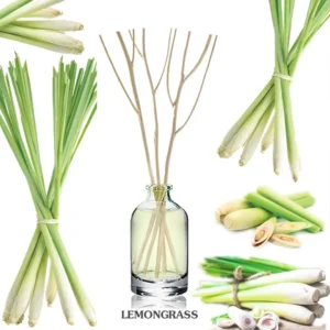 Lemongrass - Diffuser Set -Thailand