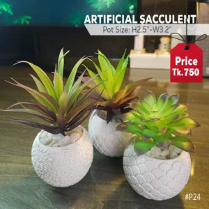 Artificial Succulent Plant 3pcs Set (Black & Green)