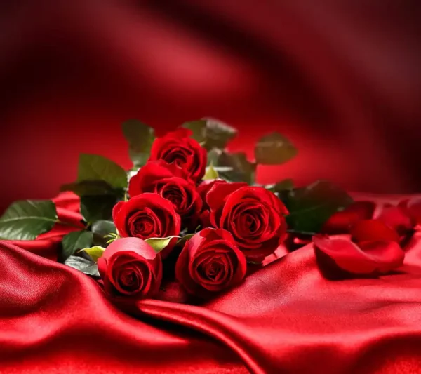 ENGLISH ROSE 50ml Oil