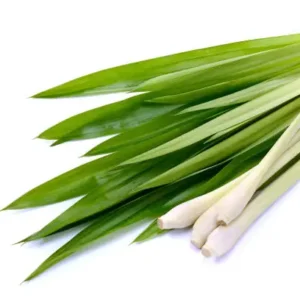 LEMONGRASS 50ml Oil
