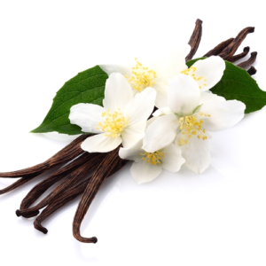 FRENCH VANILLA 50ml Oil