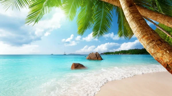 OCEAN BREEZE 50ml Oil