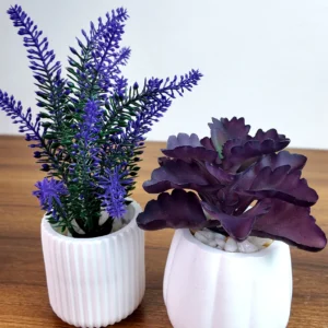 2pcs Set - Lavender Flower & Purple Succulent