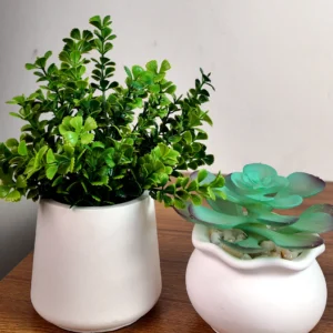 2pcs Set - Green small Leaves & Sky-Purple Succulent