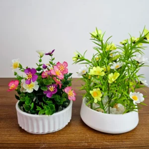 ২পিস সেট পিটুনিয়া এবং ডেজি ফ্লাওয়ার